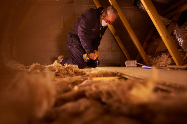 Professional Insulation Contractor in IA